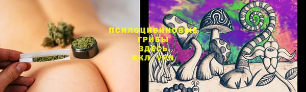 прущий лед Нягань