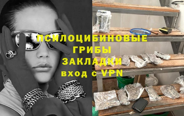 молекула духа Нязепетровск