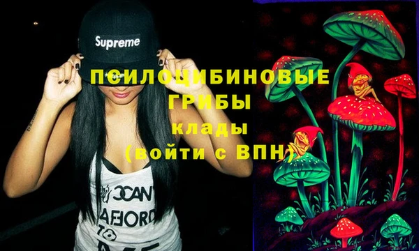 не бодяженный Няндома