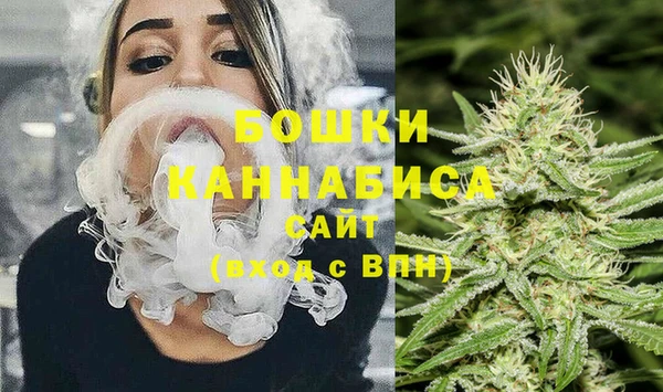молекула духа Нязепетровск