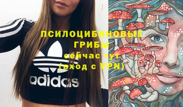 молекула духа Нязепетровск